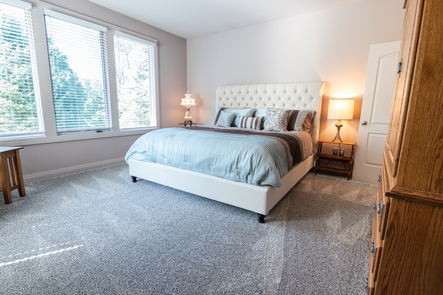 Carpet cleaning in La Vergne, TN