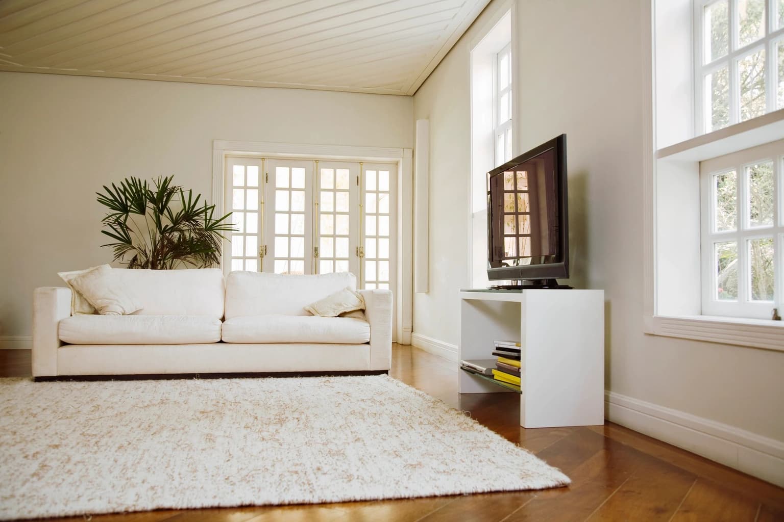 Carpet cleaning in Rural Hill, TN
