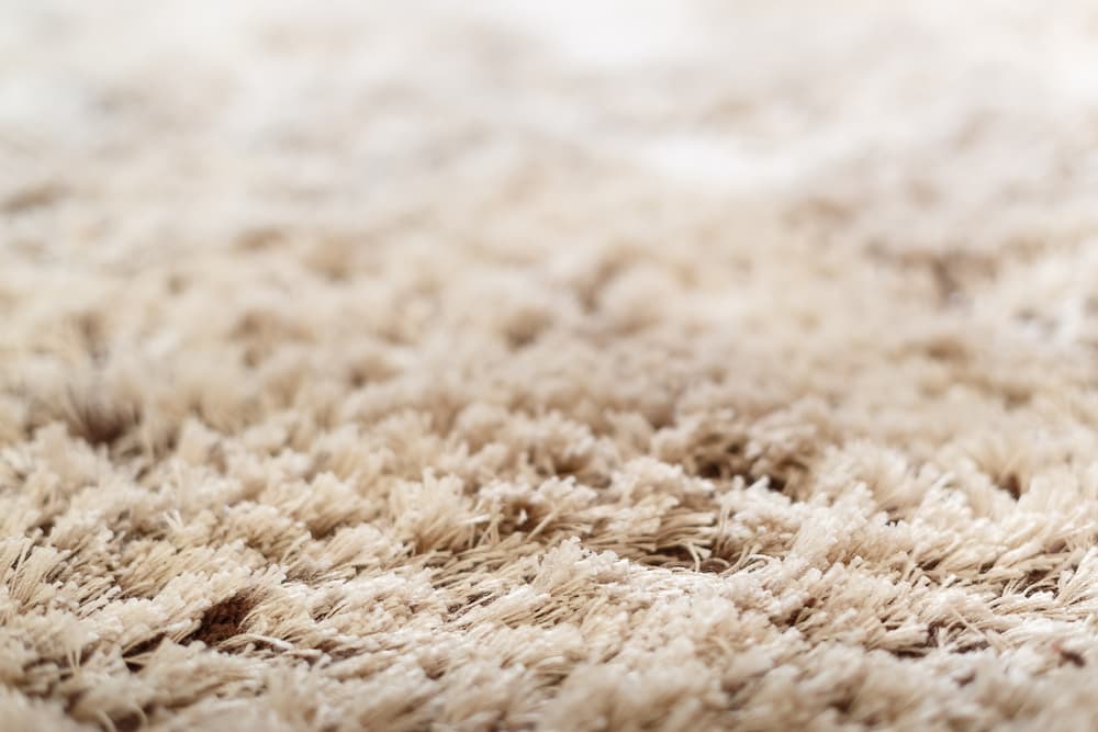 Carpet Care Near Percy Priest Lake: Why Low-Moisture Beats Steam Here